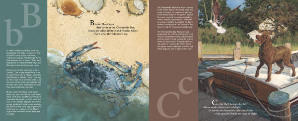 B is for Blue Crab: A Maryland Alphabet