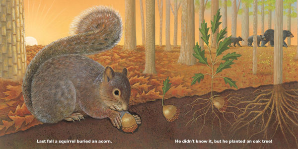 Who Will Plant a Tree?