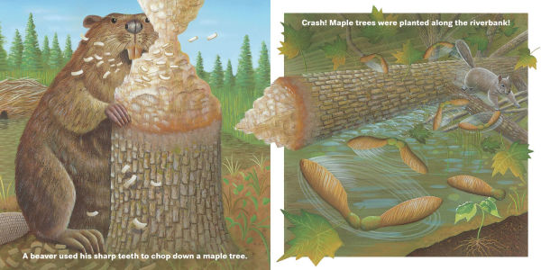 Who Will Plant a Tree?