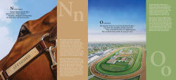 Alternative view 4 of D is for Derby: A Kentucky Derby Alphabet