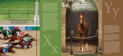 Alternative view 5 of D is for Derby: A Kentucky Derby Alphabet