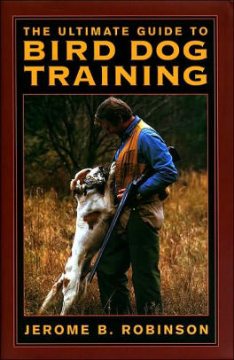 Traing the Ultimate Bird Dog