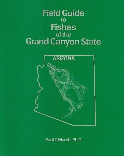 Field Guide to Fishes of the Grand Canyon State