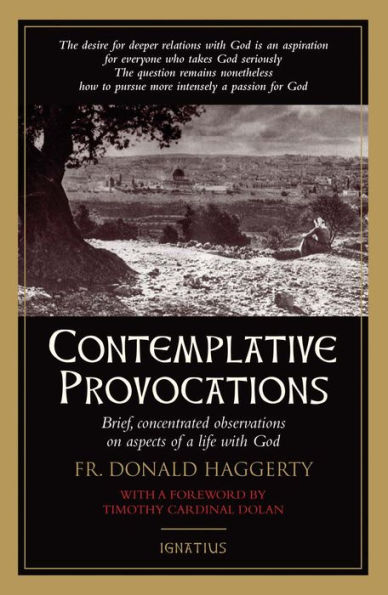 Contemplative Provocations: Brief, Concentrated Observations on Aspects of a Life with God