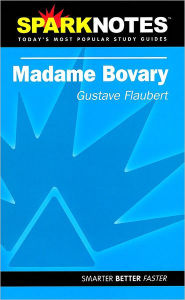 Madame bovary essay topics