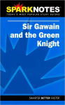 Alternative view 1 of Sir Gawain and the Green Knight (SparkNotes Literature Guide Series)