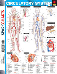 Title: Circulatory System (SparkCharts), Author: SparkNotes