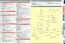 Alternative view 2 of Philosophy (SparkCharts)