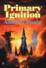 Primary Ignition: Essays 1997-2001