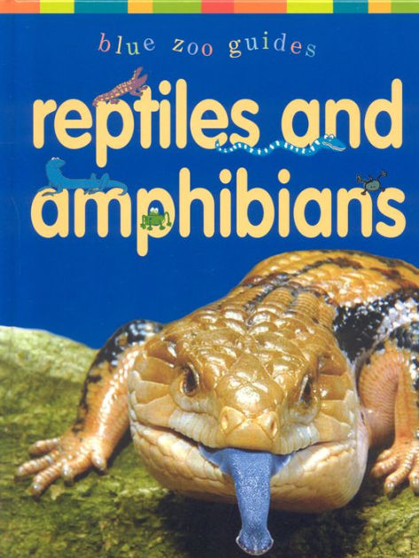 Reptiles & Amphibians by Dee Phillips, Hardcover | Barnes & Noble®