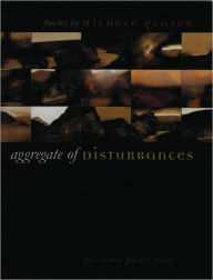 Title: Aggregate of Disturbances, Author: Michele Glazer