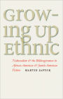 Growing Up Ethnic: Nationalism and the Bildungsroman in African American and Jewish American Fiction