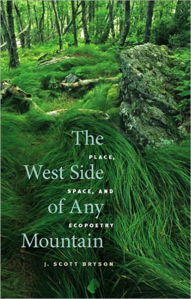 The West Side of Any Mountain: Place, Space, and Ecopoetry