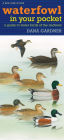 Waterfowl in Your Pocket: A Guide to Water Birds of the Midwest