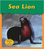 Sea Lion