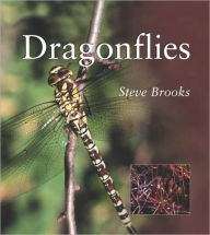 Title: Dragonflies, Author: Steve Brooks