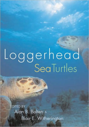 Loggerhead Sea Turtles By Alan B Bolten Hardcover