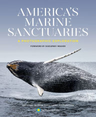 Title: America's Marine Sanctuaries: A Photographic Exploration, Author: NAT'L MARINE SANCTUARY FDN