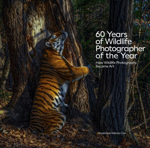 60 Years of Wildlife Photographer of the Year: How Wildlife Photography Became Art