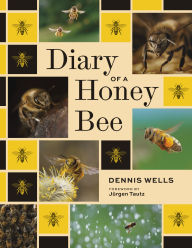 Title: Diary of a Honey Bee, Author: Dennis Wells