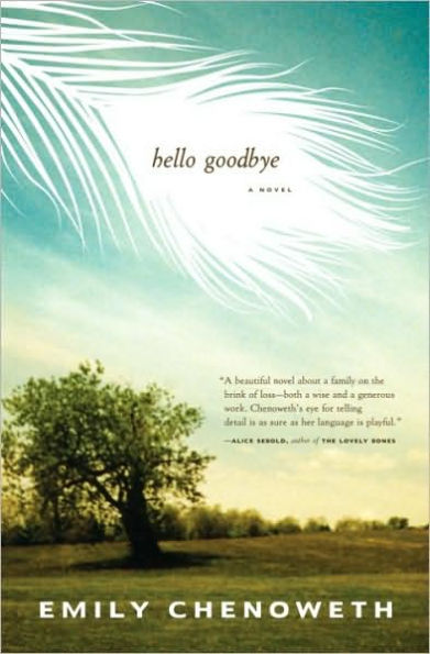 Hello Goodbye: A Novel