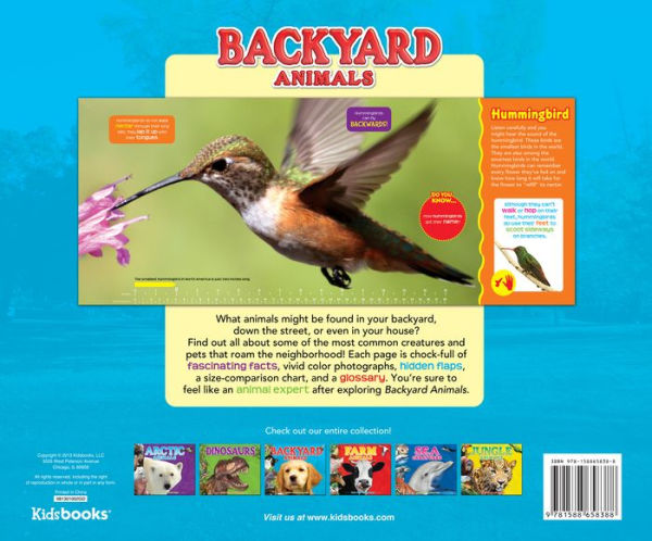 Backyard Animals (Fun Facts for Kids Series)