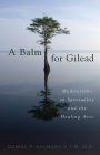Balm for Gilead: Meditations on Spirituality and the Healing Arts
