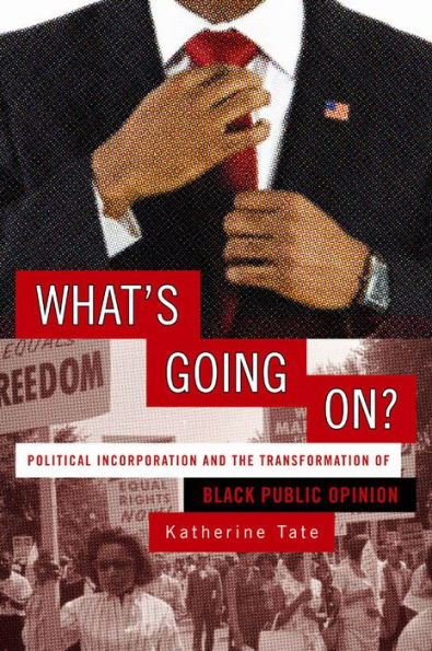 What's Going On?: Political Incorporation and the Transformation of Black Public Opinion