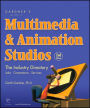 Multimedia and Animation Studios / Edition 2