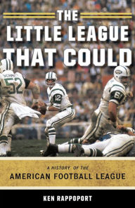 The Birth of the New NFL: How the 1966 NFL/AFL Merger Changed the Face of Pro Football [Book]