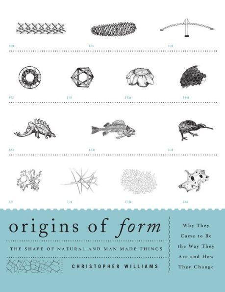 Origins of Form: the Shape Natural and Man-made Things-Why They Came to Be Way Are How Change