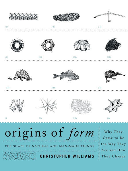 Origins of Form: The Shape of Natural and Man-made Things-Why They Came to Be the Way They Are and How They Change