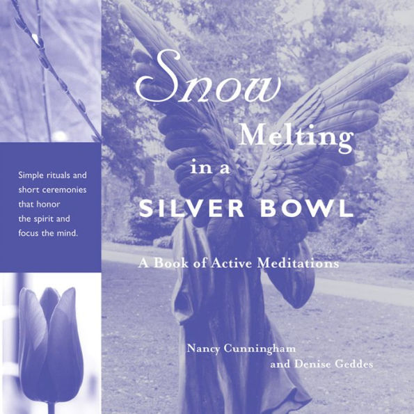 Snow Melting A Silver Bowl: Book of Active Meditations