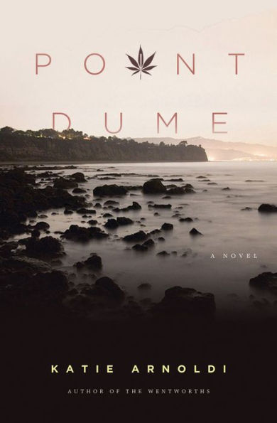 Point Dume: A Novel