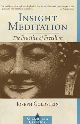 Insight Meditation (Shambhala Classics Series): The Practice of Freedom