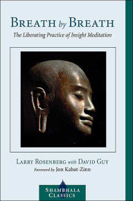 Title: Breath by Breath: The Liberating Practice of Insight Meditation, Author: Larry Rosenberg