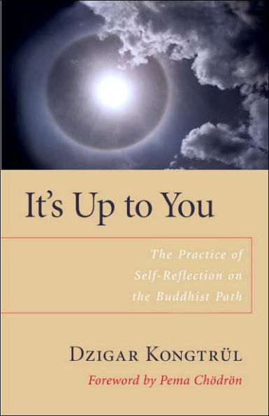 It's Up to You: the Practice of Self-Reflection on Buddhist Path