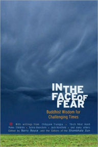 Title: In the Face of Fear: Buddhist Wisdom for Challenging Times, Author: Barry Boyce