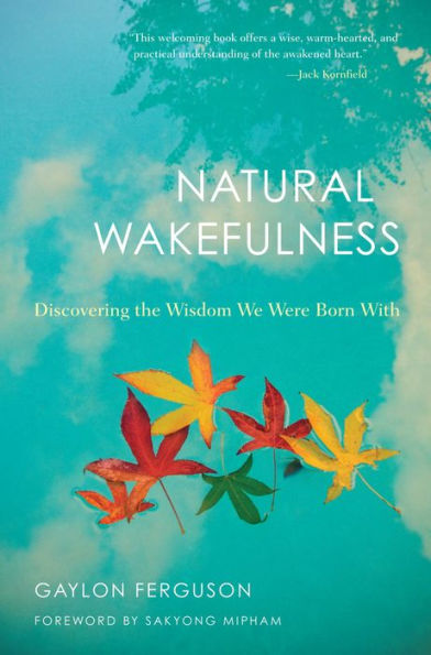 Natural Wakefulness: Discovering the Wisdom We Were Born With