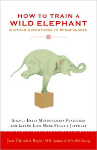 Title: How to Train a Wild Elephant: And Other Adventures in Mindfulness, Author: Jan Chozen Bays