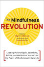 The Mindfulness Revolution: Leading Psychologists, Scientists, Artists, and Meditation Teachers on the Power of Mindfulness in Daily Life