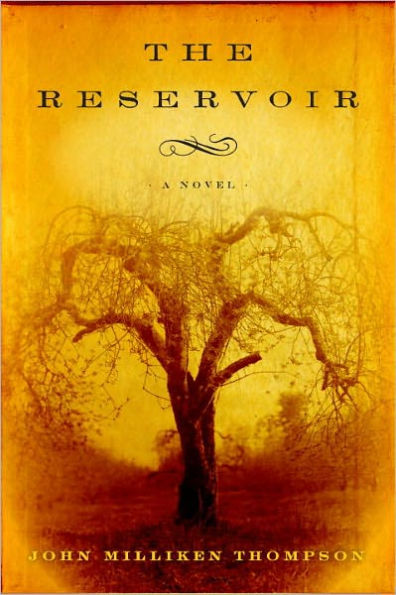 The Reservoir: A Novel