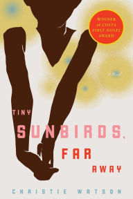 Title: Tiny Sunbirds, Far Away: A Novel, Author: Christie Watson