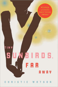 Title: Tiny Sunbirds, Far Away: A Novel, Author: Christie Watson