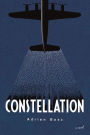 Constellation: A Novel Based on True Events