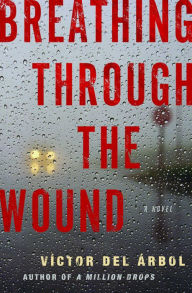 English book download Breathing Through the Wound: A Novel 9781590518434 RTF DJVU FB2