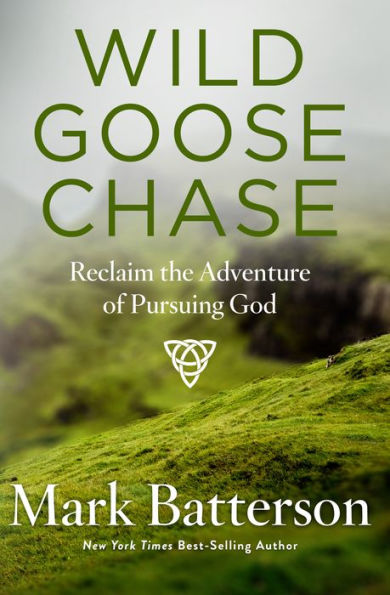 Wild Goose Chase: Rediscover the Adventure of Pursuing God