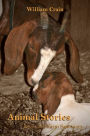 Animal Stories: Lives at a Farm Sanctuary