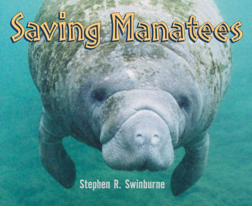 Saving Manatees by stephen r. swinburne, Paperback | Barnes & Noble®