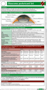 Title: Glaucoma Pocketcard Set / Edition 1, Author: A. Toren